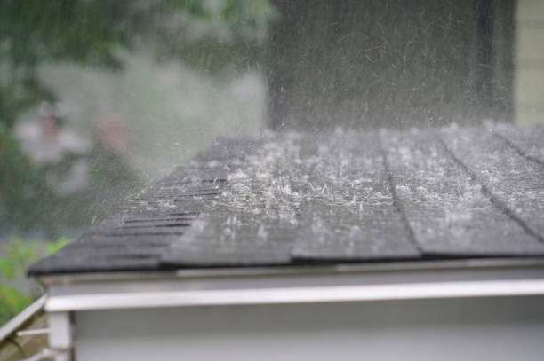 Best Green or Eco-Friendly Roofing Solutions  in West Columbia, SC